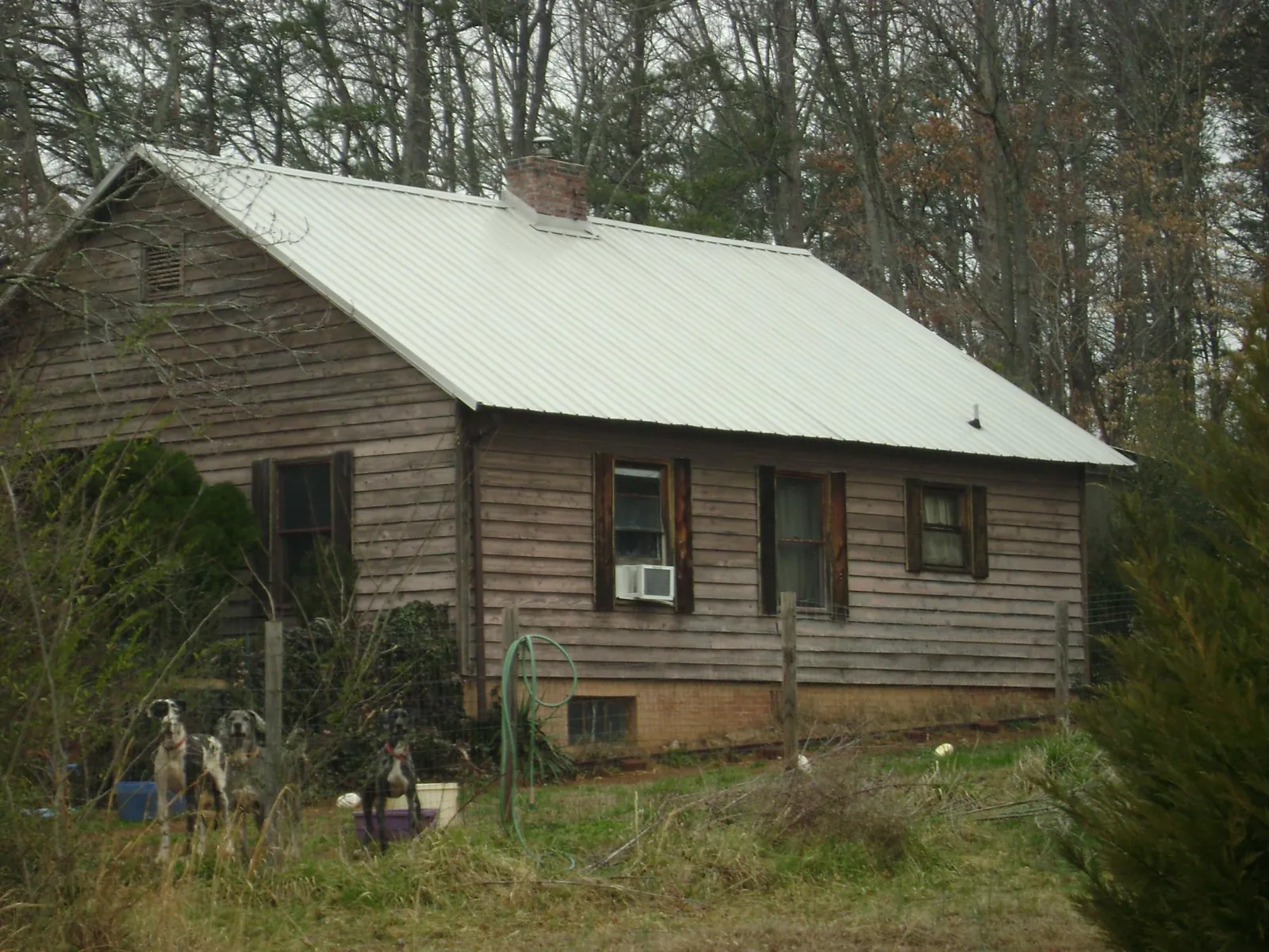 White metal roof on an old wood sided farmhouse, from a Asphalt Shingle Roof Repair job in Newcomb